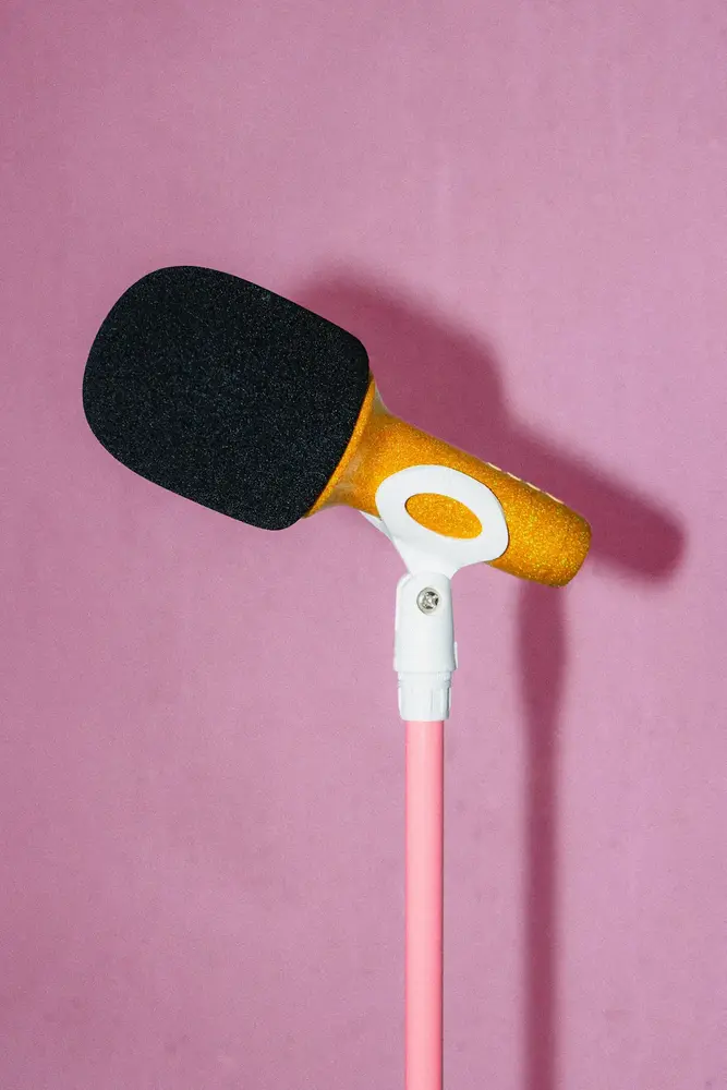 Lalarma Lalarma Microfoonstandaard - Pink