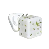 Cloud-B CLOUD-B - Cube B - Forest Cloud-B CLOUD-B - Cube B - Forest