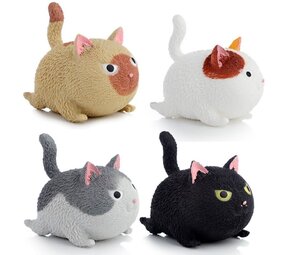 Knijpbare Kat Knijpbare Kat