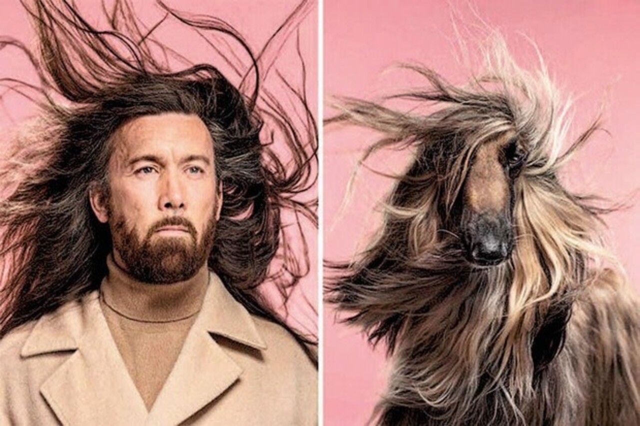 Lijk jij op je hond? Lijk jij op je hond?