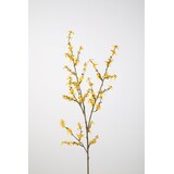 Forsythia Spray 115cm