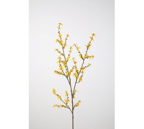 Forsythia Spray 115cm