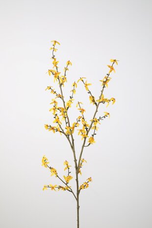 Forsythia Spray 115cm