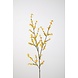 Forsythia Spray 115cm