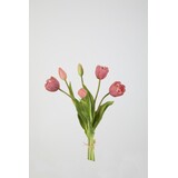 Bosje tulpen  - Lila