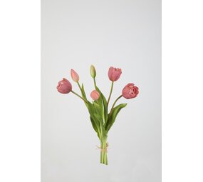 Tulip Bundle 6 - 40cm