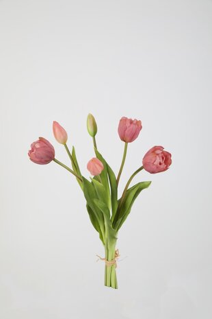 Bosje tulpen  - Lila