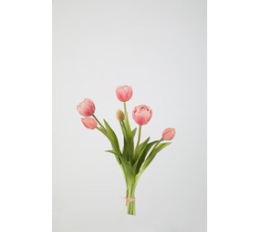Tulip Bundle 6 - 40cm