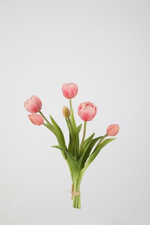 Tulip Bundle 6 - 40cm