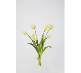 Tulip Bundle 6 - 40cm