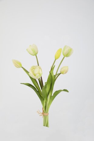 Bosje Tulpen - Cream