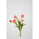 Tulip Bundle 6 - 40cm