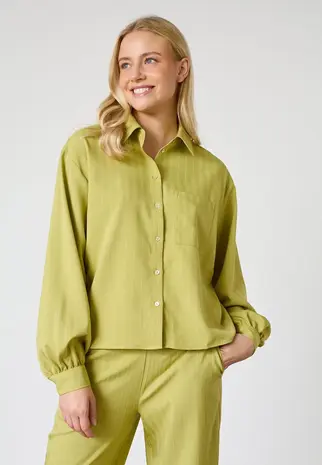 SistersPoint Verina Shirt - Lime Pinstripe
