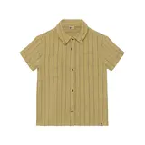 Daily7 Shirt Small Stripe - Pale Olive Green