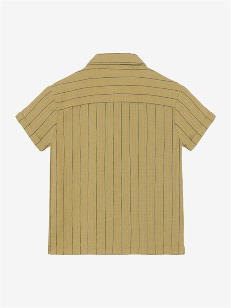 Daily7 Shirt Small Stripe - Pale Olive Green