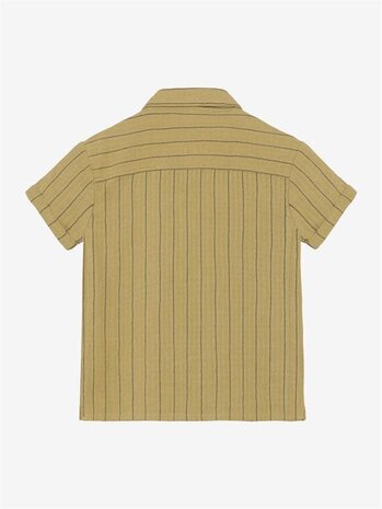 Daily7 Shirt Small Stripe - Pale Olive Green
