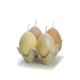 Rustik Lys Egg tray - Goud