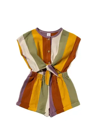 Salted Stories Multi Stripe | Tie Jumpsuit | Multicolor