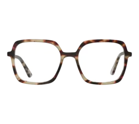 Frank and Lucie Eyeclass - Greyvanna