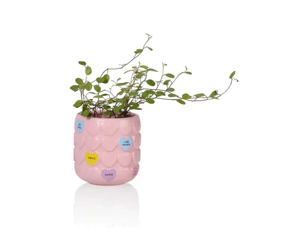 Bitten Design Sweet Heart Cup Pink