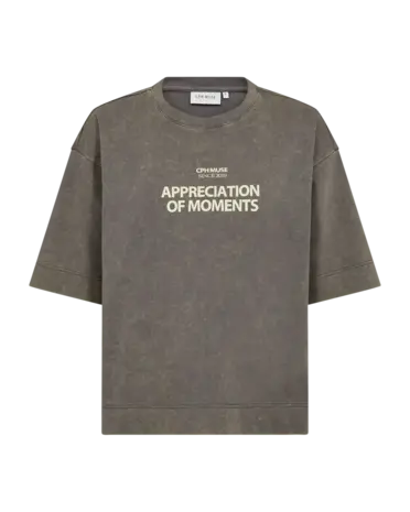 Cph Muse Muse Tee - Vintage Khaki w. Frozen Dew