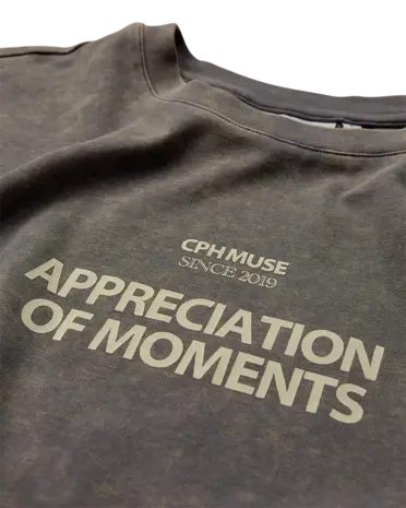 Cph Muse Muse Tee - Vintage Khaki w. Frozen Dew