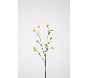 Buttercup Spray 71cm