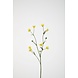 Buttercup Spray 71cm