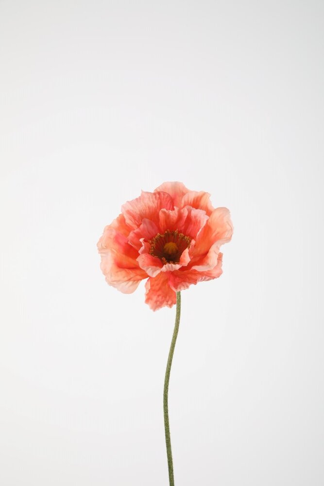 Poppy Single Stem 78cm