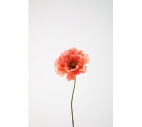 Poppy Single Stem 78cm