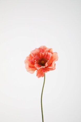 Poppy Single Stem 78cm