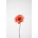 Poppy Single Stem 78cm