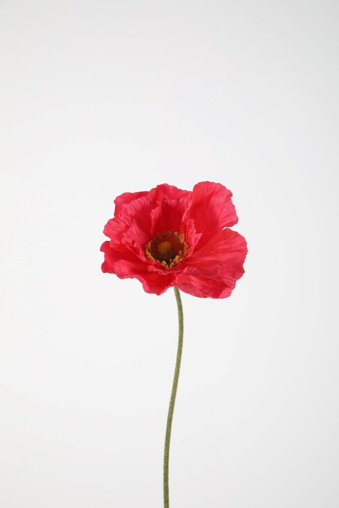 Poppy Single Stem 78cm