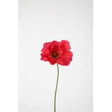 Poppy Single Stem 78cm