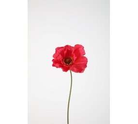 Poppy Single Stem 78cm