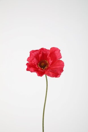 Poppy Single Stem 78cm