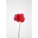 Poppy Single Stem 78cm