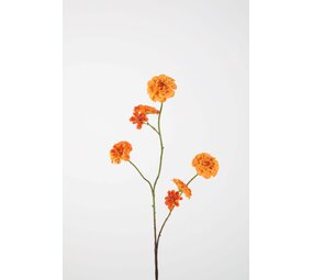 Zinnia Spray 88cm