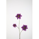 Clematis Spray 89cm