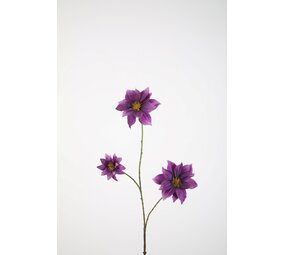 Clematis Spray 89cm