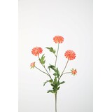 Mum Pompon Stem 71cm