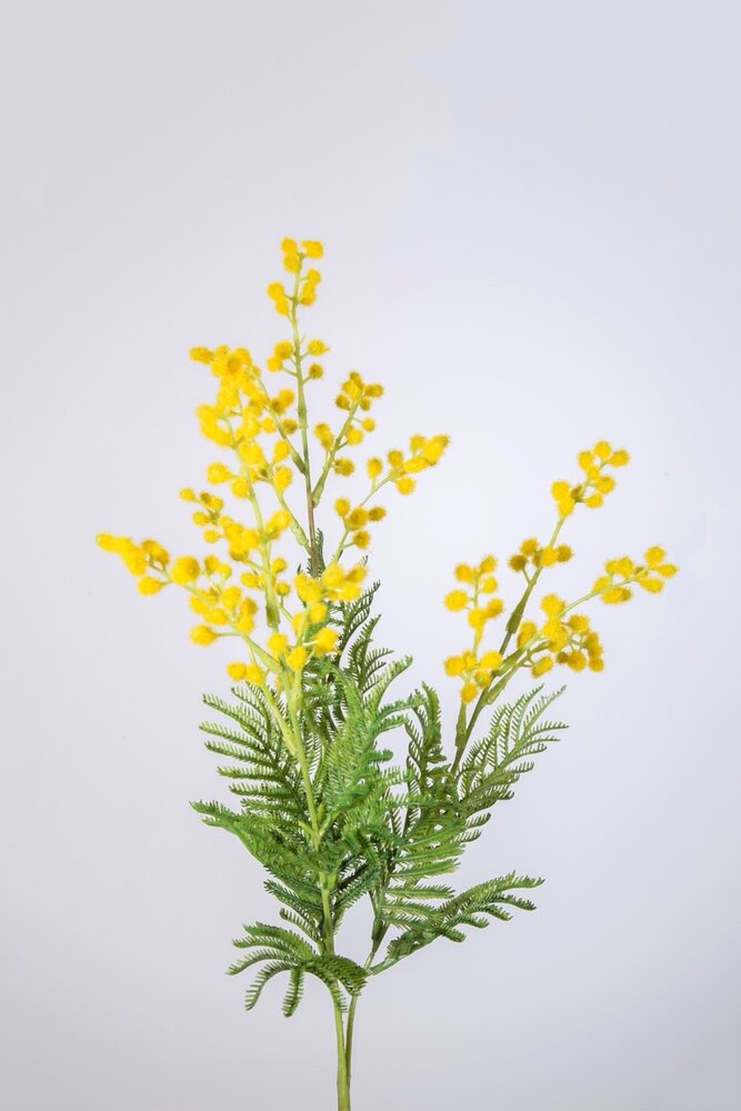 Mimosa Spray 76cm