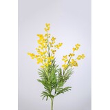 Mimosa Spray 76cm