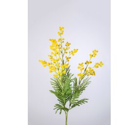 Mimosa Spray 76cm
