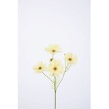 Cosmos Spray x4 67cm