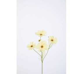 Cosmos Spray x4 67cm