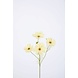 Cosmos Spray x4 67cm