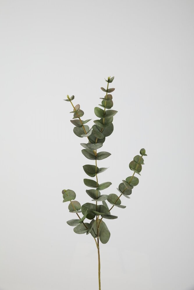 Eucalyptus Spray 81cm