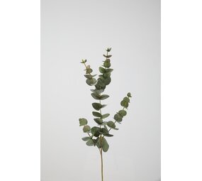 Eucalyptus Spray 81cm