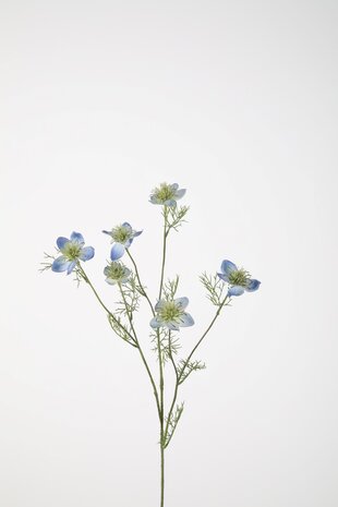 Nigella Spray 71cm
